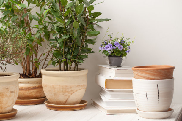 白色的木桌上放着盛开的小花素材图片