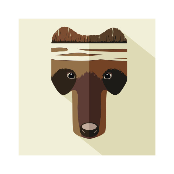 熊头长影图片下载