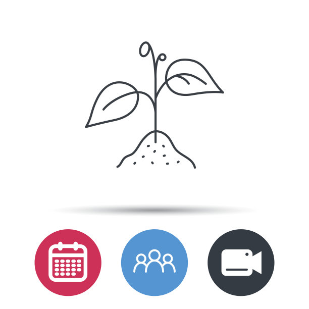 植物与叶子的图标。农业的迹象。图片下载