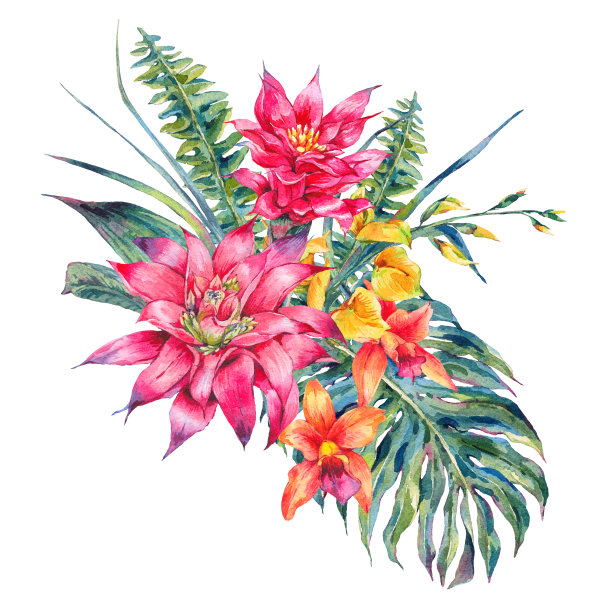 水彩复古热带花卉贺卡素材图片