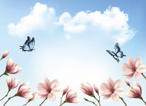 大自然春天的背景是美丽的木兰枝在蓝天上图片下载