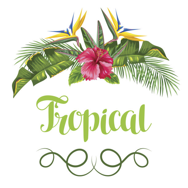 带热带树叶和鲜花的请帖。手掌分支,鸟图片下载