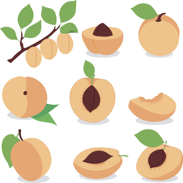 杏。设置杏，片和片图片下载