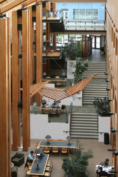 心房木2图片下载