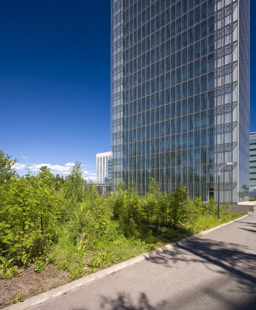 Ofice 塔图片下载