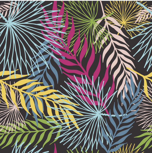 热带叶的彩色图案。在黑色的背景上图片下载