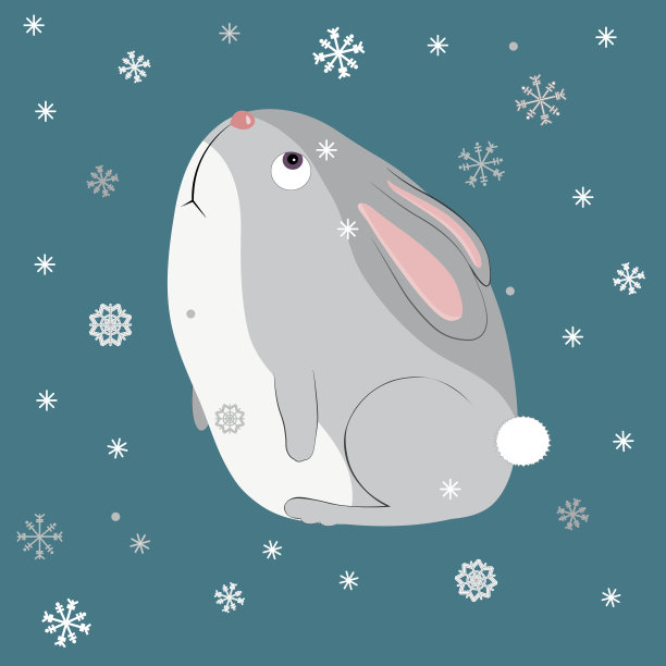 兔子和雪花。动物和野生动物图片下载