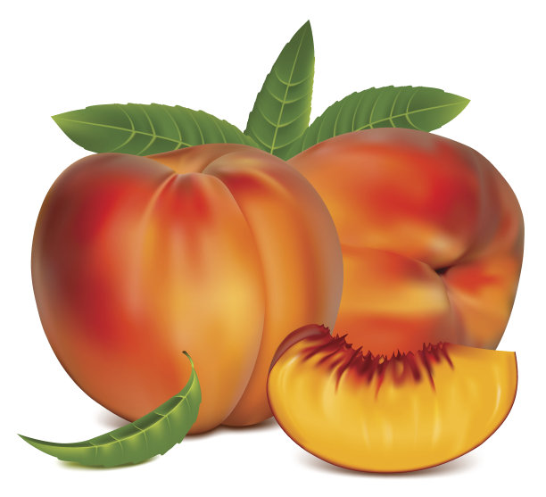 成熟的桃子果实，绿叶。图片下载