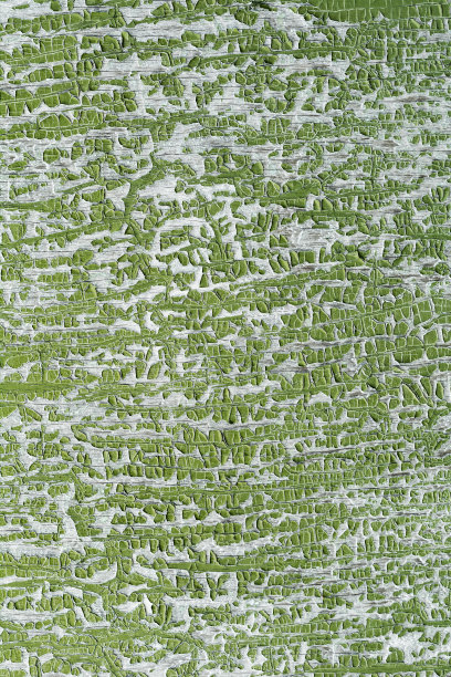 绿色漆面开裂图片下载