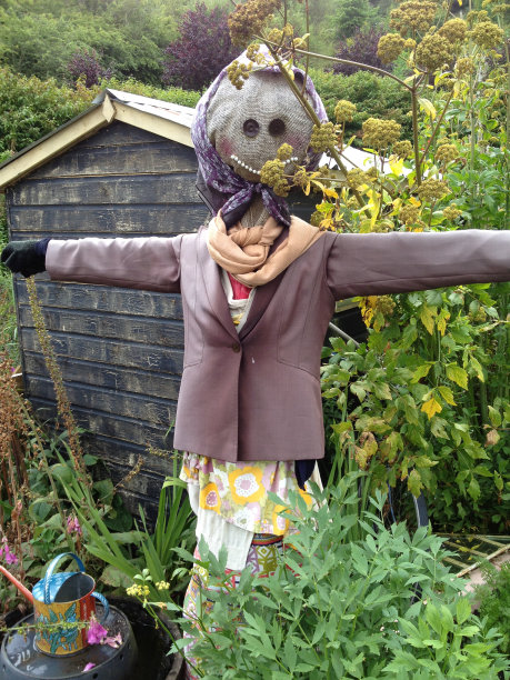 稻草人夫人图片下载