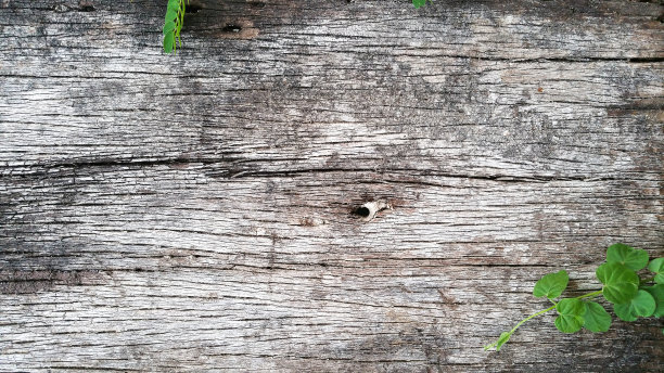 木头。背景古老的木材与树叶。图片下载