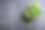 薄荷照片素材ID：135296056