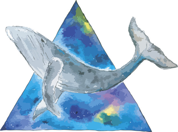 水彩鲸鱼在空间三角形。图片下载