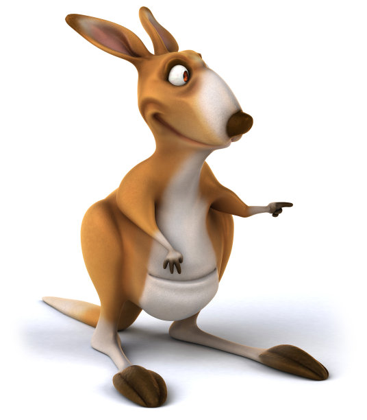 有趣的袋鼠图片下载