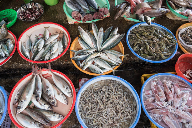 市场上的海鲜图片下载