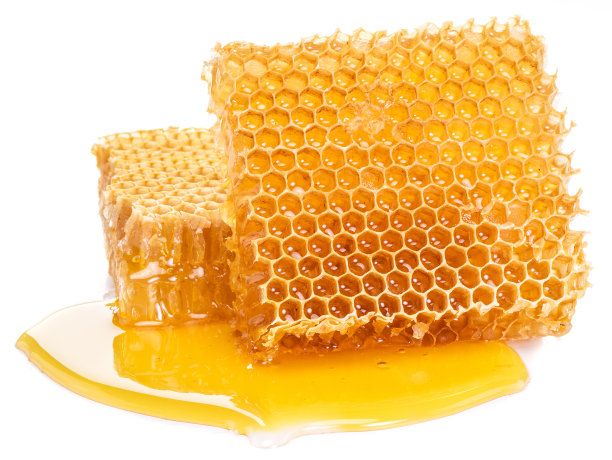 蜂窝。高质量的图片。图片下载