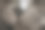 灰猫鼻子特写照片图片下载