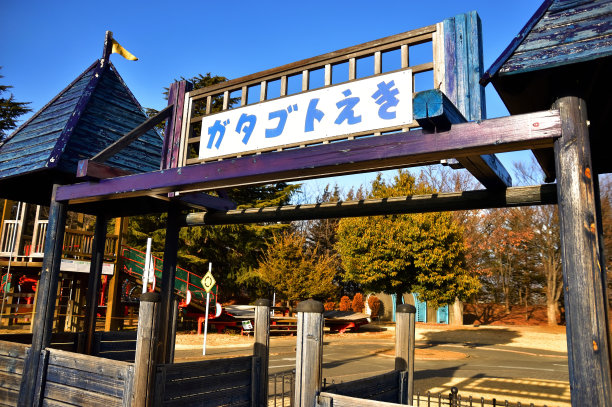 金川森林中的车辆广场图片下载