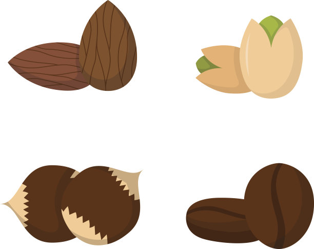 一堆坚果矢量插图。图片下载