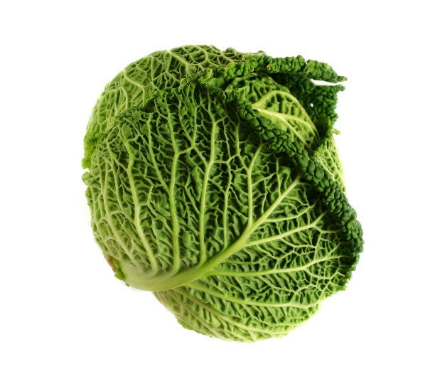 皱叶甘蓝图片下载