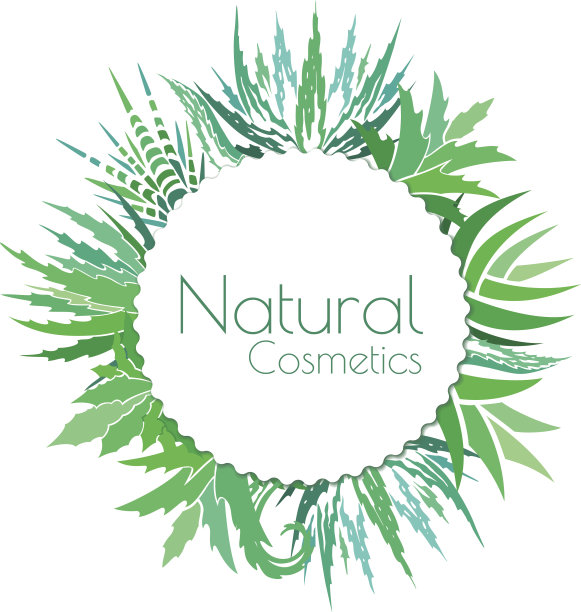 芦荟维拉横幅模板。图片下载