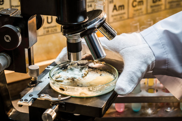 有显微镜和样品的学术实验室图片下载