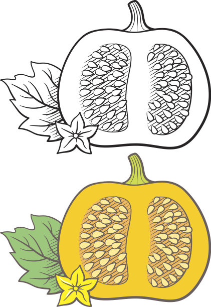 南瓜插图图片下载