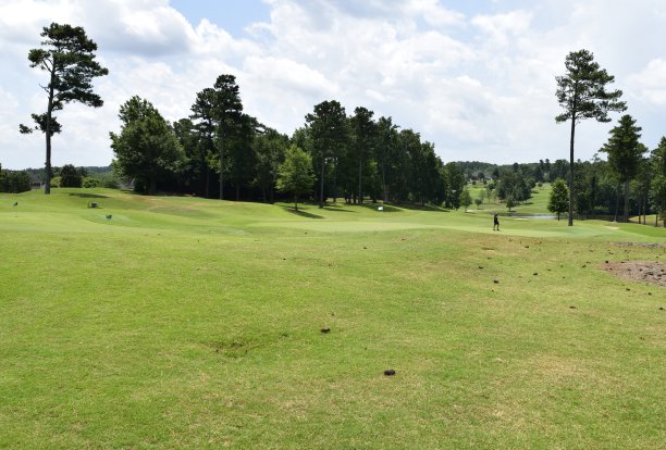 高尔夫球场的景观图片下载