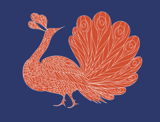 孔雀鸟图片下载