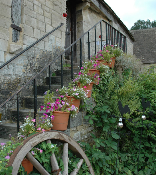 带花的石阶图片下载