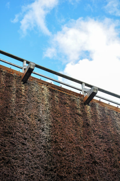 建筑不寻常的老公园树木天空房屋天际线图片下载