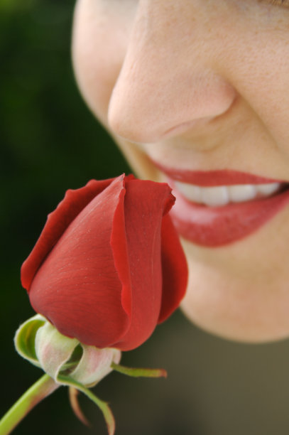 停下来闻闻玫瑰图片下载