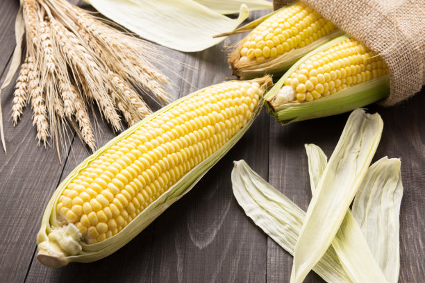 新鲜的有机黄色甜玉米放在木桌上图片下载