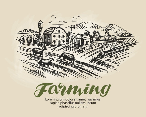 农场的草图。农业、农业矢量插图图片下载