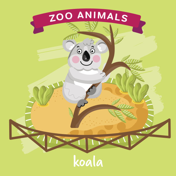 Vector动物园动物，考拉图片下载