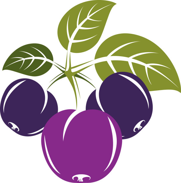 紫色简单的向量李子带有绿色的叶子，果实成熟甜美图片下载