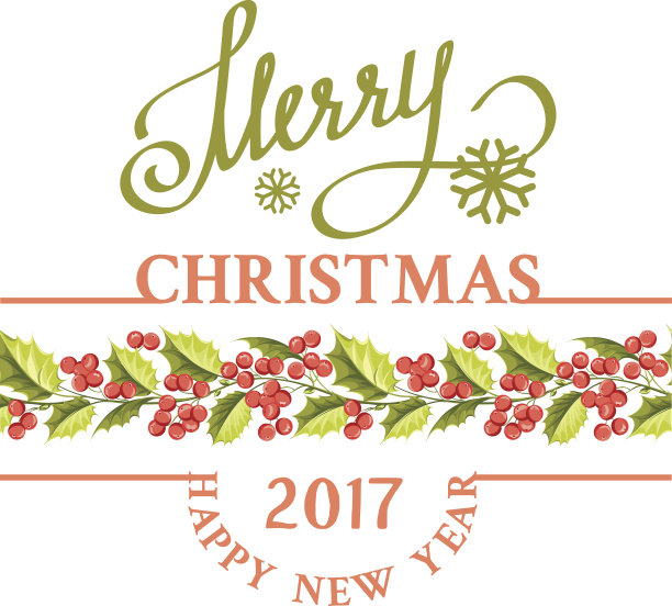 圣诞槲寄生节日卡片。图片下载