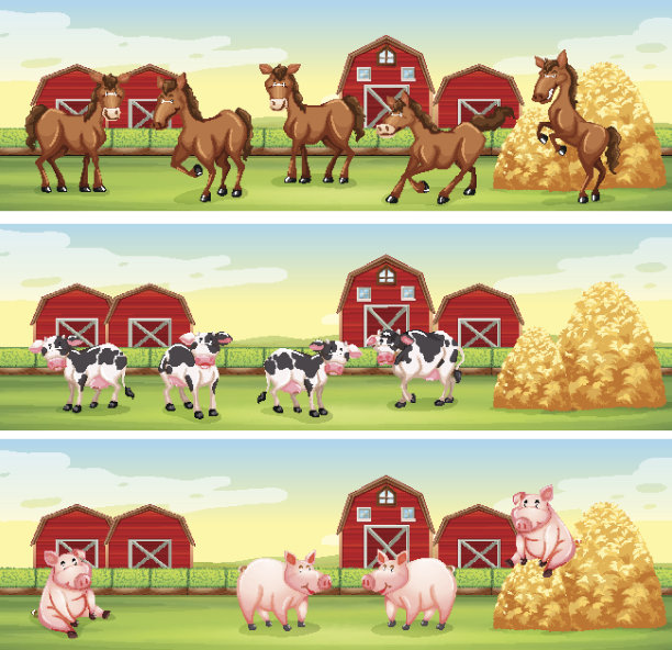 农场院子里的农场动物图片下载