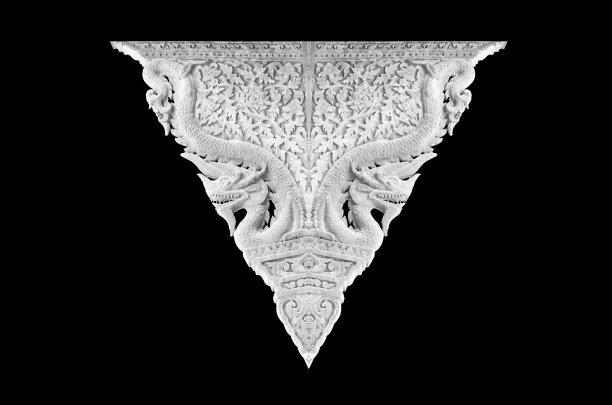 蛇的框架在黑色的背景图片下载