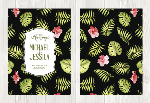 热带主题封面。图片下载