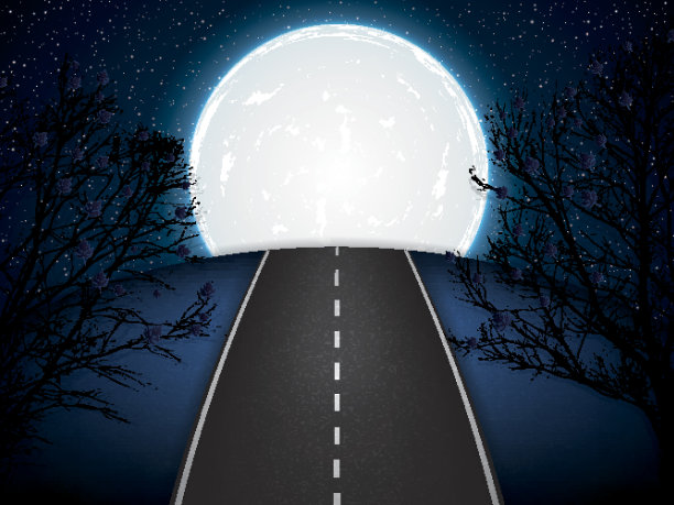 月光下的路图片下载
