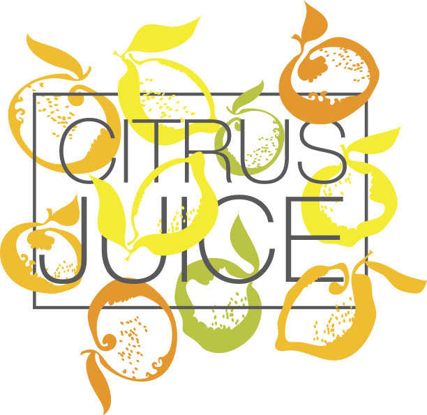 柑橘类水果，简单装饰头。矢量图图片下载
