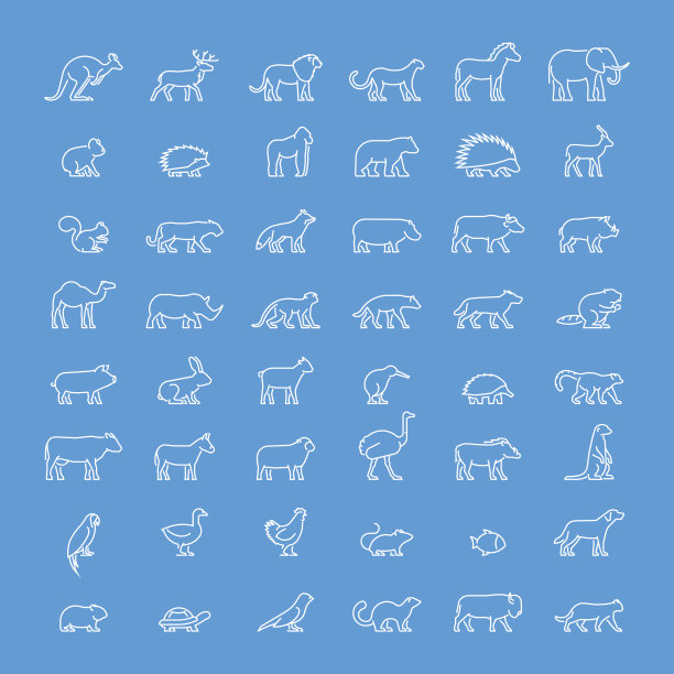 动物轮廓的矢量线集图片下载