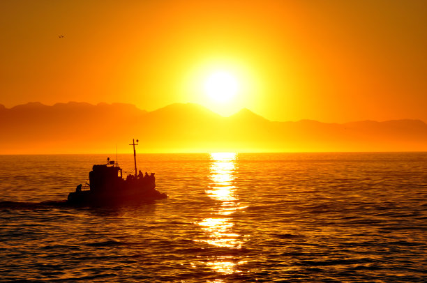 向着太阳航行图片下载