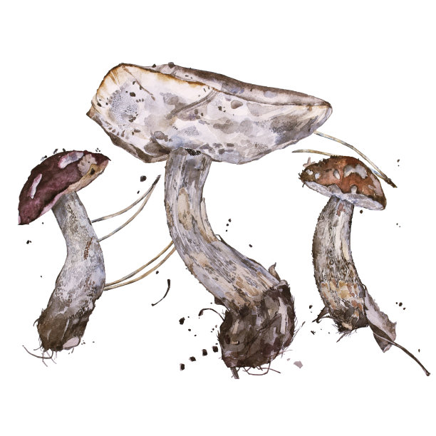 水彩木室图片下载