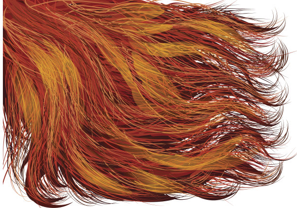 红色的头发图片下载