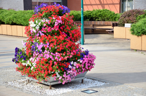 夏季城市街道装饰，金字塔用杂色花卉制成图片下载