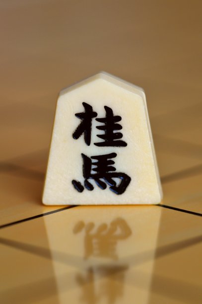 日本国际象棋图片下载