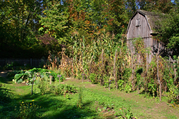 《汉斯和格蕾特》:童话般的废弃花园和旧谷仓图片下载