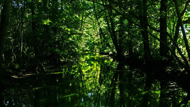 流在Moritzburg图片下载